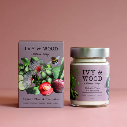 Ivy & Wood The Entire Australiana coconut soy wax candle collection